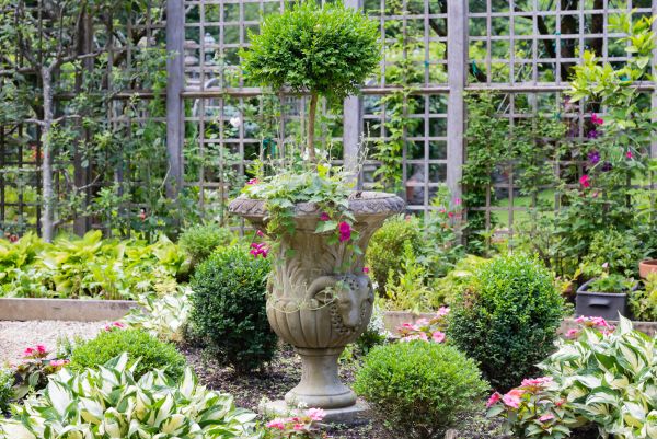 Cost of Topiary Pruning in Springdale