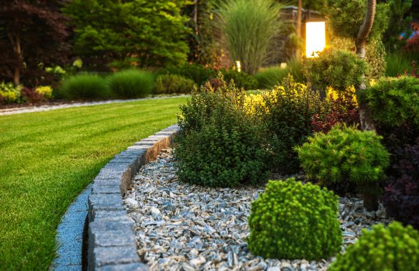 Cost of Bush Relocation in Springdale