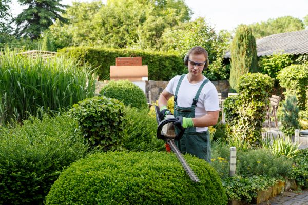 Shrubs Trimming in Springdale