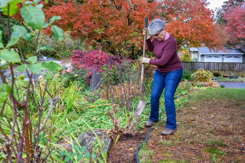 Pruning Shrubs in Fall